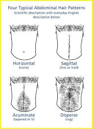 Pubic hair is a sensitive topic to bring up and even more tricky to manage. Abdominal Hair Wikipedia