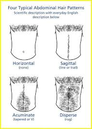 Not shaving it, do it while the hair is completely dry — it'll be easier to manage remove the hair on the outskirts of the pubic area with a razor, electric razor, wax, epilator, or do not apply rubbing alcohol to your genitals. Abdominal Hair Wikipedia