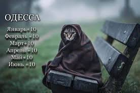 Jun 24, 2021 · сейчас вы просматриваете новость «атакует палящее солнце и будет трудно дышать: Pogoda V Odesse Pikabu