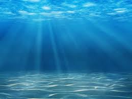 Resultado de imagen para fotos del mar