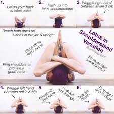 1 120 Likes 73 Comments Laura Large Omniyogagirl On Instagram Lotus In Shoulderstand Or Pindasana Vari Yoga Poses Advanced Advanced Yoga Yoga Asanas