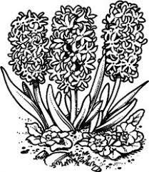 E gata de colorat sau pictat in culorile tale preferate! Planse De Colorat Cu Flori Desene De Colorat Cu Flori Flori De Colorat