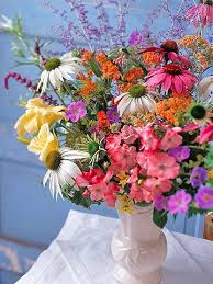 We did not find results for: Plants For A Cutting Garden Shine Your Light