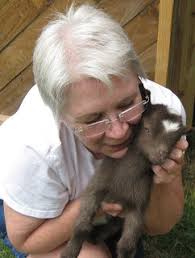 Loomy Tunes: June 2011