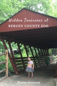 Van saun county parks location is in paramus and river edge, new jersey. Hidden Treasures At Bergen County Zoo Mommy University