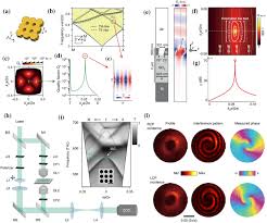 With six cooking functions and an extra large capacity, the west bend 12.6 qt. Frontiers Of Light Manipulation In Natural Metallic And Dielectric Nanostructures Springerlink