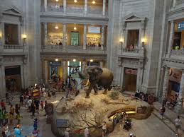 Washington Dc With Kids Smithsonian Museum Of Natural History Pitstops For Kids