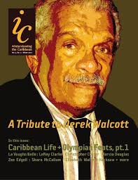 community transformation Books