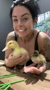 A little Duck info Ducks grow FAST! Daisy is 2 weeks old today vs Cadbury  is 1 day old ! Daisy and her friends have big claws