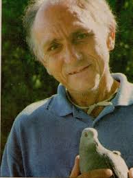 Whitsunday TIMES BIG STORIES