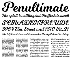 Best free tattoo font collection that you can use to create your tattoo. 50 Of The Best Tattoo Fonts That You Ll Love Vandelay Design