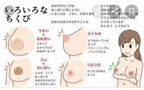 パフィー ニップル