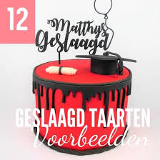 Thema Geslaagd 9 Voorbeelden Voor Geslaagd Taarten