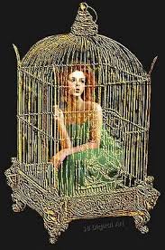 Bird In A Gilded Cage Quote 3b Digital Art Bird In A Gilded Cage Bird Cage Decor Bird Cage Elf House