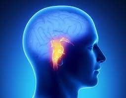 That can make you feel confused or forgetful. Early Symptoms Of A Brain Tumor Mental And Physical Signs