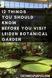 12 Things You Should Know Before You Visit Leiden Botanical Garden Leiden Botanical Gardens Leiden Netherlands