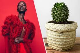 This probably won't happen right away, and the plant might even start to look healthier at first. Cactus