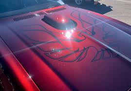 Image result for Brandywine Pearl 2009 RX