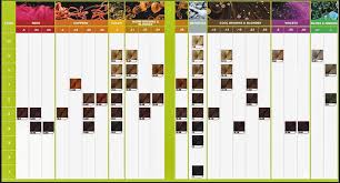 However, if your hair is a different color in different areas (e.g. International Colour Charts For Hairdressing Hair Makeup Artist Handbook