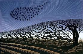 Henry Rothwell On Twitter In 2021 Sea Pictures Starling Linocut