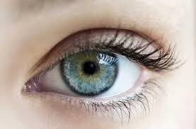 تحتوي صفحة التوضيح على قائمة مقالات ذات عناوين متقاربة. ØªÙØ³ÙŠØ± Ø±Ø¤ÙŠØ© Ø§Ù„Ø¹ÙŠÙ† ÙÙŠ Ø§Ù„Ù…Ù†Ø§Ù… Ø£Ùˆ Ø§Ù„Ø­Ù„Ù… Ø£Ø­Ù„Ø§Ù…Ùƒ Ù†Øª