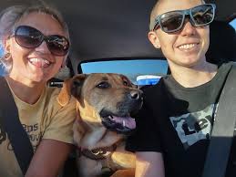 Lost dog in Ogden, North Street/Washington Blvd area