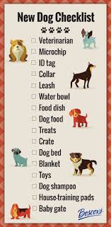 See More About Phoenix Dog Training At K9katelynn Com From Your Friends At Phoenix Dog In Home Dog Training K9ka Dog Care Tips Dog Training Obedience Dog Care