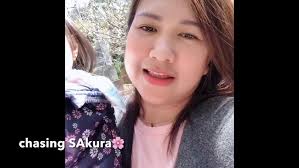 cherry blossom/sakura in Miaoli park