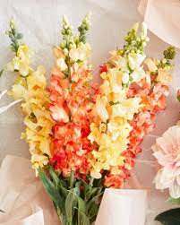 Pin On Wedding Inspiration
