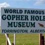World Famous Gopher Hole Museum from www.roadtripamerica.com