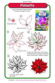 Learn how to draw poinsettia pictures using these outlines or print just for coloring. How To Draw Poinsettia Ina S Tangles