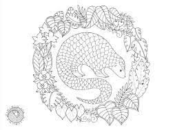 pangolin colouring page coloring pages art coloriage sous-exposition