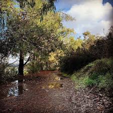 Christmaseverun A Bit Wet But Fun Trailrunning Instagram Feed Country Roads Trail Running