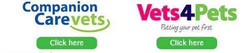 Every companion care practice offers these services and facilities: Vets Pets At Home