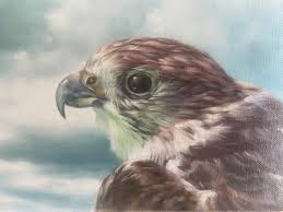 Bildergebnis für Robert Devriendt