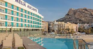 Image result for Melia