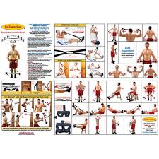 Chart Bow Classic Bullworker Personal Home Fitness