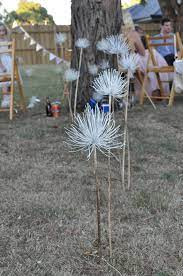 Painted Dried Agapanthus Agapanthus Wedding Flowers