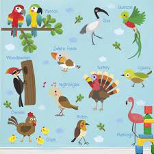 color casa birds names kus adlari ingilizce montessori fiyati