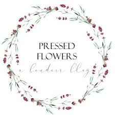 On the street of sycamore street and street number is 1113. Pressed Flowers Boudoir Fine Art Boudoir Celebrating Femininity And Beauty