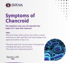 Image result for chancroid