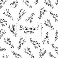 Black And White Elegant White Flower Background Vector Hand Drawn Botanical Pattern Background Hand Drawn Drawing Sketchy Png And Vector With Transparent Background For Free Download Background Patterns How To Draw Hands Botanical Pattern