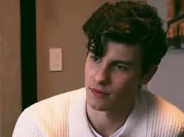 Motivos Para Amar O Shawn Mendes