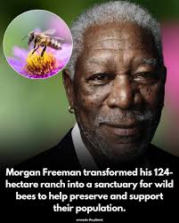 So beautiful pictures