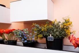 This is why we offer services most caterers charge extra for, such as personal party consultation, menu customization and complete party accessorizing, including service ware, ice, décor, flowers and. Blossom Cleveland Flower Bar