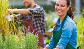 Indy lawn care specializes in lawn care maintenance and property preservation services. Services Indianapolis In Fae Lawn Care Services And More