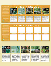 The Five Kingdoms Charts Montessori Research And Development Montessori Materials Teacher Manuals Montessori Materials Kids Learning Tools Teacher Manual