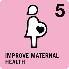 Get full conversations at yahoo finance Mdg L 5 Improvement In Maternal Health Worldview Mission