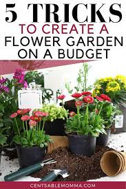 How To Create A Flower Garden On A Budget Centsable Momma