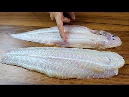 今天才知道 龍利魚和巴沙魚的區別 很多人都不懂 長见识了 youtube fish